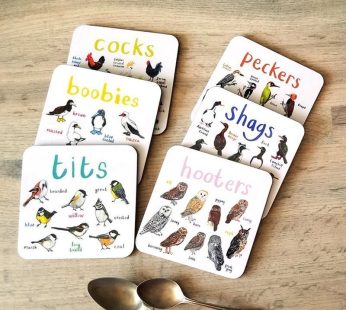 Bird Pun Coasters Fun Square Drink Coaster For Children Wooden And PVC Cup Mats Home Kitchen Decor
